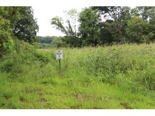 Gibson & Pike Counties, Indiana Farmland - LAND AUCTION - 207+/- ACRES OFFERED IN 9 TRACTS IN GIBSON & PIKE COUNTIES, INDIANA