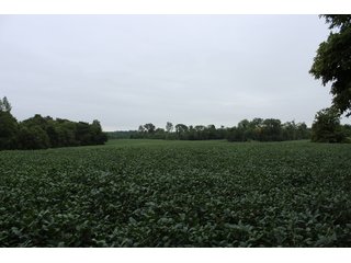 Gibson & Pike Counties, Indiana Farmland - LAND AUCTION - 207+/- ACRES OFFERED IN 9 TRACTS IN GIBSON & PIKE COUNTIES, INDIANA