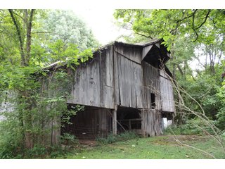 Gibson & Pike Counties, Indiana Farmland - LAND AUCTION - 207+/- ACRES OFFERED IN 9 TRACTS IN GIBSON & PIKE COUNTIES, INDIANA
