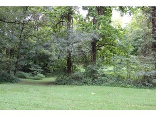 Gibson & Pike Counties, Indiana Farmland - LAND AUCTION - 207+/- ACRES OFFERED IN 9 TRACTS IN GIBSON & PIKE COUNTIES, INDIANA