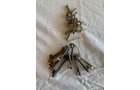Property photo 109 - PERSONAL PROPERTY AUCTION IN ALLEN COUNTY, INDIANA