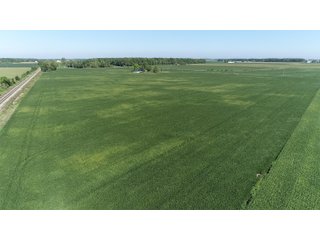 East Allen County, Indiana Farmland - REAL ESTATE LAND AUCTION - 202+/- ACRES OFFERED IN 10 TRACTS OR COMBINATIONS IN EAST ALLEN COUNTY, INDIANA