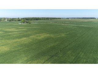 East Allen County, Indiana Farmland - REAL ESTATE LAND AUCTION - 202+/- ACRES OFFERED IN 10 TRACTS OR COMBINATIONS IN EAST ALLEN COUNTY, INDIANA
