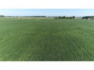 East Allen County, Indiana Farmland - REAL ESTATE LAND AUCTION - 202+/- ACRES OFFERED IN 10 TRACTS OR COMBINATIONS IN EAST ALLEN COUNTY, INDIANA