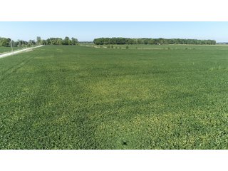 East Allen County, Indiana Farmland - REAL ESTATE LAND AUCTION - 202+/- ACRES OFFERED IN 10 TRACTS OR COMBINATIONS IN EAST ALLEN COUNTY, INDIANA
