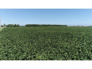East Allen County, Indiana Farmland - REAL ESTATE LAND AUCTION - 202+/- ACRES OFFERED IN 10 TRACTS OR COMBINATIONS IN EAST ALLEN COUNTY, INDIANA