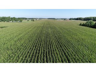 East Allen County, Indiana Farmland - REAL ESTATE LAND AUCTION - 202+/- ACRES OFFERED IN 10 TRACTS OR COMBINATIONS IN EAST ALLEN COUNTY, INDIANA