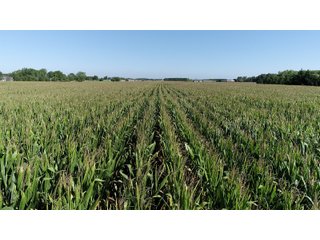 East Allen County, Indiana Farmland - REAL ESTATE LAND AUCTION - 202+/- ACRES OFFERED IN 10 TRACTS OR COMBINATIONS IN EAST ALLEN COUNTY, INDIANA