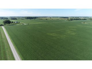 East Allen County, Indiana Farmland - REAL ESTATE LAND AUCTION - 202+/- ACRES OFFERED IN 10 TRACTS OR COMBINATIONS IN EAST ALLEN COUNTY, INDIANA