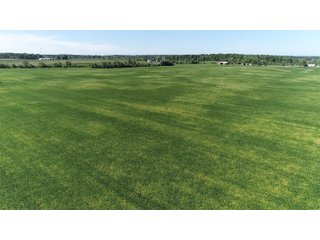 East Allen County, Indiana Farmland - REAL ESTATE LAND AUCTION - 202+/- ACRES OFFERED IN 10 TRACTS OR COMBINATIONS IN EAST ALLEN COUNTY, INDIANA
