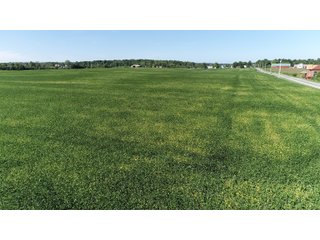 East Allen County, Indiana Farmland - REAL ESTATE LAND AUCTION - 202+/- ACRES OFFERED IN 10 TRACTS OR COMBINATIONS IN EAST ALLEN COUNTY, INDIANA