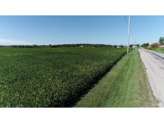 East Allen County, Indiana Farmland - REAL ESTATE LAND AUCTION - 202+/- ACRES OFFERED IN 10 TRACTS OR COMBINATIONS IN EAST ALLEN COUNTY, INDIANA