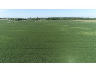 East Allen County, Indiana Farmland - REAL ESTATE LAND AUCTION - 202+/- ACRES OFFERED IN 10 TRACTS OR COMBINATIONS IN EAST ALLEN COUNTY, INDIANA