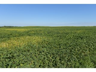 Cass & White Counties, Indiana Farmland - MAJOR LAND AUCTION - 962+/- ACRES OFFERED IN 6 TRACTS IN CASS & WHITE COUNTIES, INDIANA