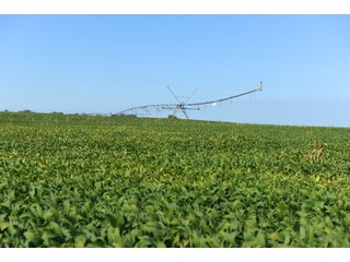 Cass & White Counties, Indiana Farmland - MAJOR LAND AUCTION - 962+/- ACRES OFFERED IN 6 TRACTS IN CASS & WHITE COUNTIES, INDIANA