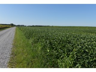 Tract 3 in Cass & White Counties, Indiana - MAJOR LAND AUCTION - 962+/- ACRES OFFERED IN 6 TRACTS IN CASS & WHITE COUNTIES, INDIANA