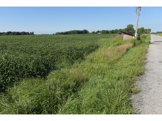 Cass & White Counties, Indiana Farmland - MAJOR LAND AUCTION - 962+/- ACRES OFFERED IN 6 TRACTS IN CASS & WHITE COUNTIES, INDIANA