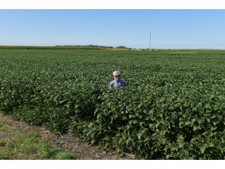 Tract 1 in Cass & White Counties, Indiana - MAJOR LAND AUCTION - 962+/- ACRES OFFERED IN 6 TRACTS IN CASS & WHITE COUNTIES, INDIANA