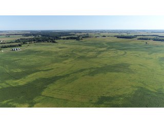 Cass & White Counties, Indiana Farmland - MAJOR LAND AUCTION - 962+/- ACRES OFFERED IN 6 TRACTS IN CASS & WHITE COUNTIES, INDIANA