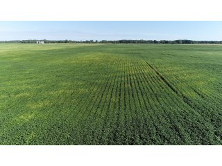 Cass & White Counties, Indiana Farmland - MAJOR LAND AUCTION - 962+/- ACRES OFFERED IN 6 TRACTS IN CASS & WHITE COUNTIES, INDIANA