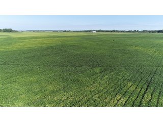 Cass & White Counties, Indiana Farmland - MAJOR LAND AUCTION - 962+/- ACRES OFFERED IN 6 TRACTS IN CASS & WHITE COUNTIES, INDIANA