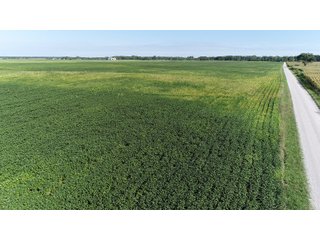 Cass & White Counties, Indiana Farmland - MAJOR LAND AUCTION - 962+/- ACRES OFFERED IN 6 TRACTS IN CASS & WHITE COUNTIES, INDIANA