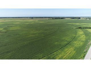 Cass & White Counties, Indiana Farmland - MAJOR LAND AUCTION - 962+/- ACRES OFFERED IN 6 TRACTS IN CASS & WHITE COUNTIES, INDIANA