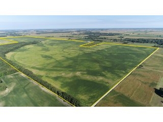 Tract 3 & 6 in Cass & White Counties, Indiana - MAJOR LAND AUCTION - 962+/- ACRES OFFERED IN 6 TRACTS IN CASS & WHITE COUNTIES, INDIANA