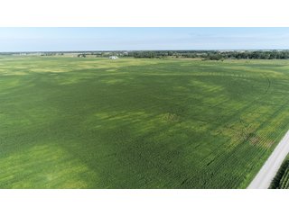 Cass & White Counties, Indiana Farmland - MAJOR LAND AUCTION - 962+/- ACRES OFFERED IN 6 TRACTS IN CASS & WHITE COUNTIES, INDIANA