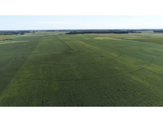 Cass & White Counties, Indiana Farmland - MAJOR LAND AUCTION - 962+/- ACRES OFFERED IN 6 TRACTS IN CASS & WHITE COUNTIES, INDIANA