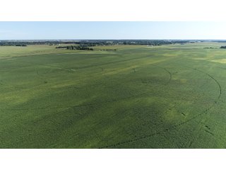 Cass & White Counties, Indiana Farmland - MAJOR LAND AUCTION - 962+/- ACRES OFFERED IN 6 TRACTS IN CASS & WHITE COUNTIES, INDIANA