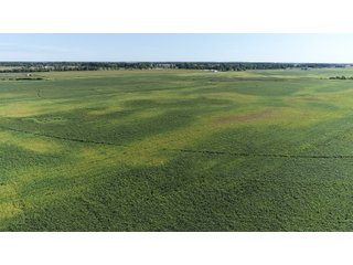 Cass & White Counties, Indiana Farmland - MAJOR LAND AUCTION - 962+/- ACRES OFFERED IN 6 TRACTS IN CASS & WHITE COUNTIES, INDIANA