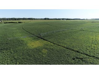 Cass & White Counties, Indiana Farmland - MAJOR LAND AUCTION - 962+/- ACRES OFFERED IN 6 TRACTS IN CASS & WHITE COUNTIES, INDIANA