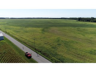 Cass & White Counties, Indiana Farmland - MAJOR LAND AUCTION - 962+/- ACRES OFFERED IN 6 TRACTS IN CASS & WHITE COUNTIES, INDIANA