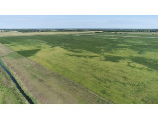 Cass & White Counties, Indiana Farmland - MAJOR LAND AUCTION - 962+/- ACRES OFFERED IN 6 TRACTS IN CASS & WHITE COUNTIES, INDIANA