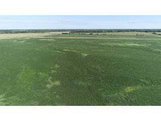 Cass & White Counties, Indiana Farmland - MAJOR LAND AUCTION - 962+/- ACRES OFFERED IN 6 TRACTS IN CASS & WHITE COUNTIES, INDIANA