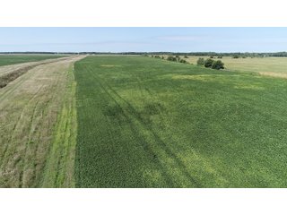 Cass & White Counties, Indiana Farmland - MAJOR LAND AUCTION - 962+/- ACRES OFFERED IN 6 TRACTS IN CASS & WHITE COUNTIES, INDIANA