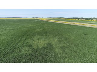 Tracts 1 & 2 in Cass & White Counties, Indiana - MAJOR LAND AUCTION - 962+/- ACRES OFFERED IN 6 TRACTS IN CASS & WHITE COUNTIES, INDIANA