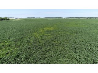Cass & White Counties, Indiana Farmland - MAJOR LAND AUCTION - 962+/- ACRES OFFERED IN 6 TRACTS IN CASS & WHITE COUNTIES, INDIANA