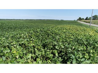 Cass & White Counties, Indiana Farmland - MAJOR LAND AUCTION - 962+/- ACRES OFFERED IN 6 TRACTS IN CASS & WHITE COUNTIES, INDIANA