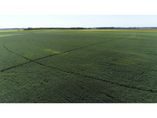 Tract 5 in Cass & White Counties, Indiana - MAJOR LAND AUCTION - 962+/- ACRES OFFERED IN 6 TRACTS IN CASS & WHITE COUNTIES, INDIANA