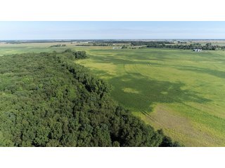 Cass & White Counties, Indiana Farmland - MAJOR LAND AUCTION - 962+/- ACRES OFFERED IN 6 TRACTS IN CASS & WHITE COUNTIES, INDIANA