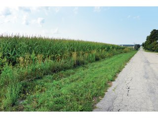 Farm 1: Tracts 6 & 7 in Boone County, Illinois Farmland - VIRTUAL ILLINOIS LAND AUCTION - 1,132+/- ACRES IN OGLE, BOONE, WINNEBAGO, STARK, CLAY & WAYNE COUNTIES IN ILLINOIS