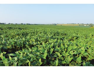 Farm 1: Tracts 8-11 in Winnebago County, Illinois Farmland - VIRTUAL ILLINOIS LAND AUCTION - 1,132+/- ACRES IN OGLE, BOONE, WINNEBAGO, STARK, CLAY & WAYNE COUNTIES IN ILLINOIS
