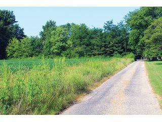 Farm 3: Tracts 19-21 in Clay & Wayne Counties, Illinois - VIRTUAL ILLINOIS LAND AUCTION - 1,132+/- ACRES IN OGLE, BOONE, WINNEBAGO, STARK, CLAY & WAYNE COUNTIES IN ILLINOIS
