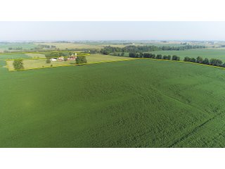 Farm 1: Tracts 8-11 in Winnebago County, Illinois Farmland - VIRTUAL ILLINOIS LAND AUCTION - 1,132+/- ACRES IN OGLE, BOONE, WINNEBAGO, STARK, CLAY & WAYNE COUNTIES IN ILLINOIS