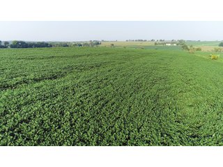 Farm 1: Tracts 8-11 in Winnebago County, Illinois Farmland - VIRTUAL ILLINOIS LAND AUCTION - 1,132+/- ACRES IN OGLE, BOONE, WINNEBAGO, STARK, CLAY & WAYNE COUNTIES IN ILLINOIS