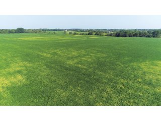 Farm 1: Tracts 1-5 in Ogle County, Illinois Farmland - VIRTUAL ILLINOIS LAND AUCTION - 1,132+/- ACRES IN OGLE, BOONE, WINNEBAGO, STARK, CLAY & WAYNE COUNTIES IN ILLINOIS