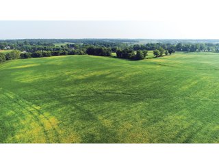 Farm 1: Tracts 1-5 in Ogle County, Illinois Farmland - VIRTUAL ILLINOIS LAND AUCTION - 1,132+/- ACRES IN OGLE, BOONE, WINNEBAGO, STARK, CLAY & WAYNE COUNTIES IN ILLINOIS