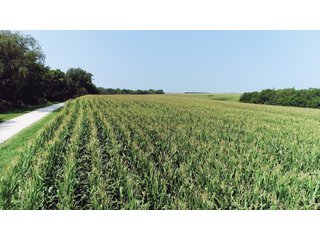 Farm 2: Tracts 12-15 in Stark County, Illinois Farmland - VIRTUAL ILLINOIS LAND AUCTION - 1,132+/- ACRES IN OGLE, BOONE, WINNEBAGO, STARK, CLAY & WAYNE COUNTIES IN ILLINOIS